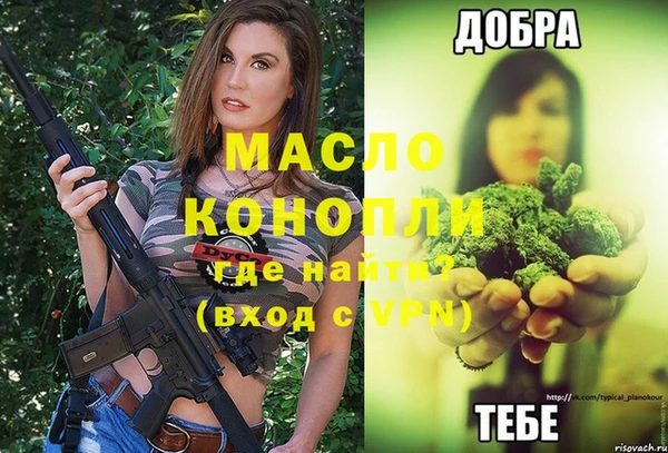 дмт Елабуга