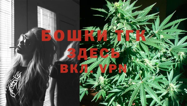 гидра Балахна