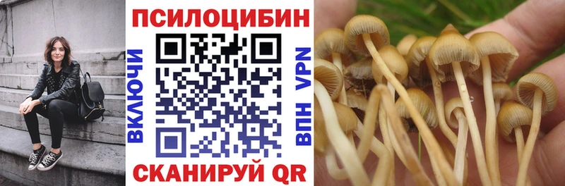 Галлюциногенные грибы Cubensis  Белинский 